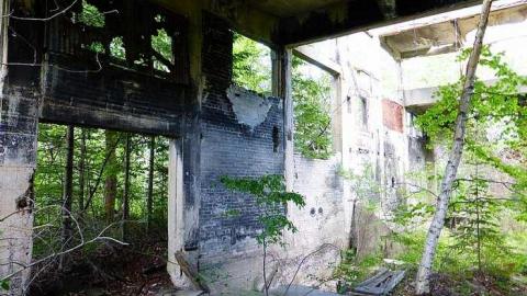 Donald Duck - Donald-(ghost-chemical-plant)254.jpg