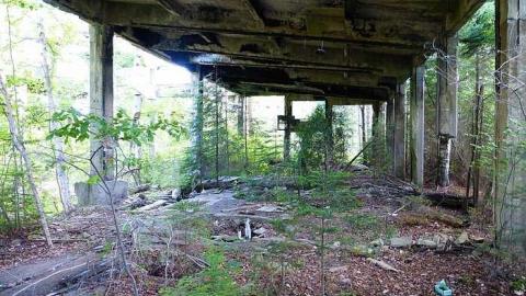 Donald Duck - Donald-(ghost-chemical-plant)265.jpg