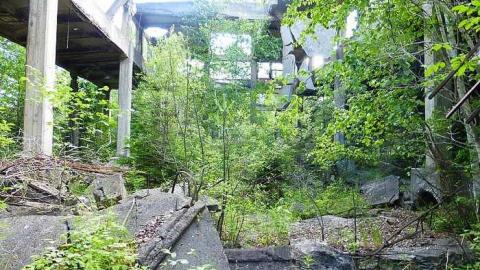 Donald Duck - Donald-(ghost-chemical-plant)266.jpg