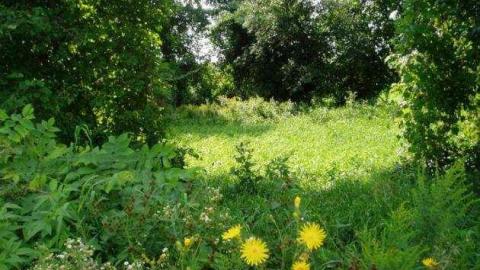 Passmore Avenue - Toronto, Ontario