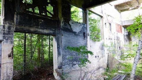 Donald Duck - Donald-(ghost-chemical-plant)267.jpg