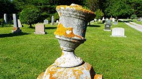 June '15 - Ingoldsby-Pioneer-Cemetery6.jpg