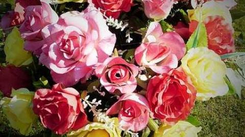 June '15 - Ingoldsby-Pioneer-Cemetery5.jpg