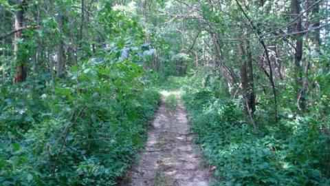 Passmore Avenue - Beares Rd east to Townline 5.jpg