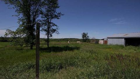 Green House - Melancthon-(ghost-town)203.jpg