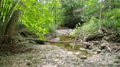 Passmore Avenue - Beares Rd east to Townline 8 Petticoat Creek.jpg