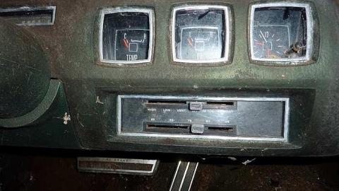 Imprisoned by the forest - Minden Hills, Ontario