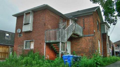 Photo from Savannah Rowe's Guts