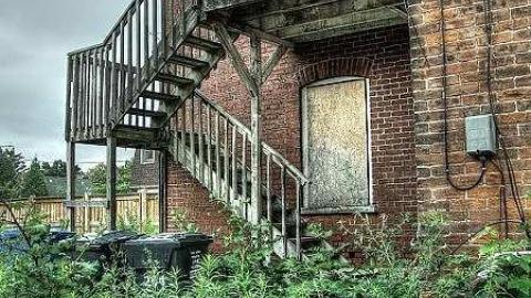 Savannah Rowe's Guts - Savannah-Rowe50.jpg