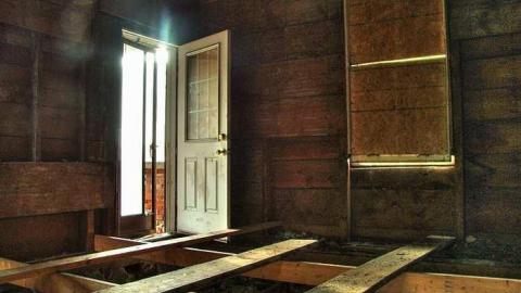 Photo from Savannah Rowe's Guts