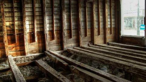 Savannah Rowe's Guts - Savannah-Rowe52.jpg