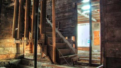 Photo from Savannah Rowe's Guts