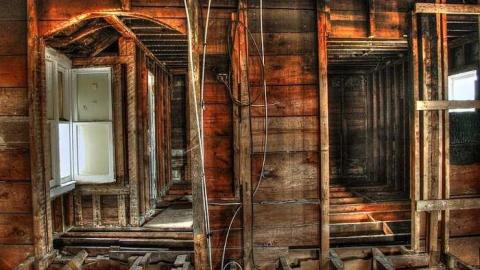 Savannah Rowe's Guts - Savannah-Rowe27.jpg