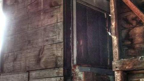 Savannah Rowe's Guts - Savannah-Rowe28.jpg