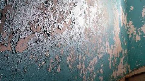 Scooby's Long Drop '15 - DSC02525.jpg