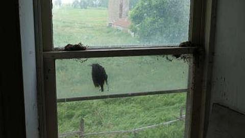 Scooby's Long Drop '15 - DSC02540.jpg