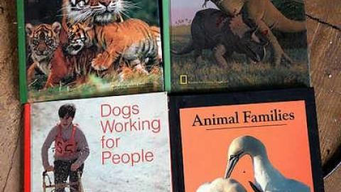 Scooby's Long Drop '15 - DSC02546.jpg