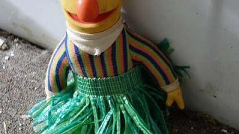 Scooby's Long Drop '15 - DSC02639.jpg