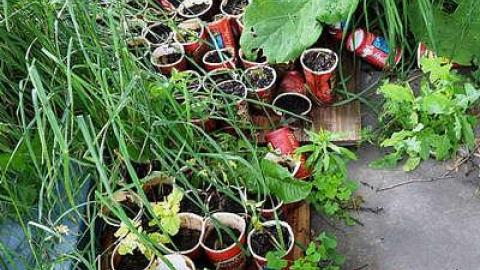 Scooby's Long Drop '15 - DSC02682.jpg