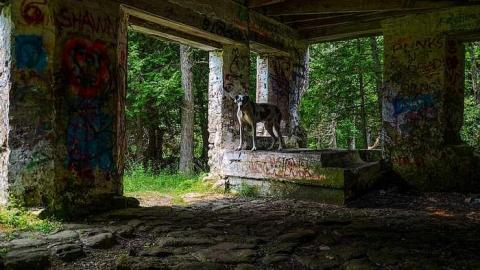 Photo from Artistic In Eugenia