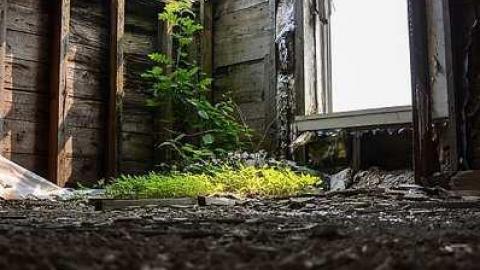 Fragments Rerun - Melancthon-(ghost-town)150.jpg