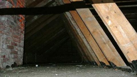 July 4, 2015 - Camp-30-Bowmanville651.jpg