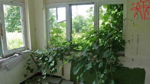 July 4, 2015 - Camp-30-Bowmanville475.jpg