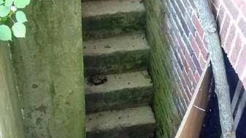 July 4, 2015 - Camp-30-Bowmanville505.jpg