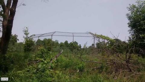 July 4, 2015 - Camp-30-Bowmanville606.jpg