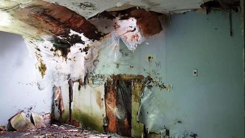 Nursing Mold '15 - Final-Destination42.jpg