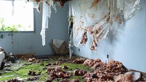 Nursing Mold '15 - Final-Destination21.jpg