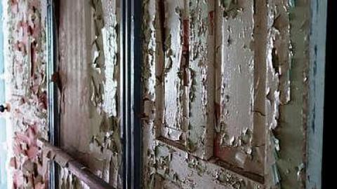 Nursing Mold '15 - Final-Destination44.jpg