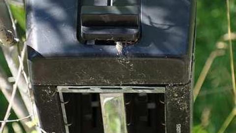 Graffiti Foundry '15 - Holmes-Foundry65.jpg