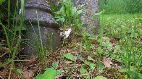 Photo from Spooki Time