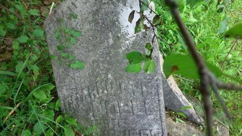 Photo from Spooki Time