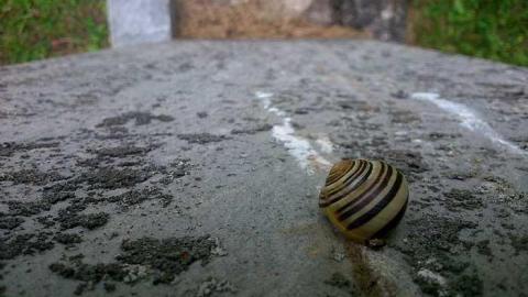 Spooki Time - Annan-Pioneer-Cemetery20.jpg