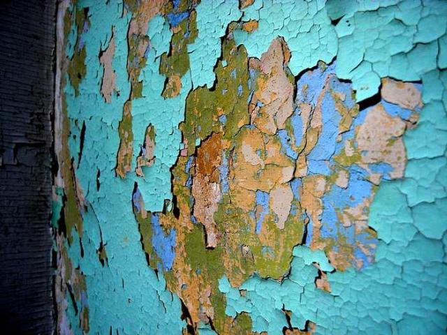 Camping - R1037055.jpg