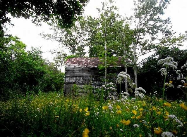 Camping - R1037061.jpg