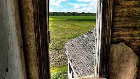 Windy day... - June28-2015 259_62_64_tonemapped.jpg