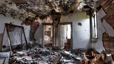 Windy day... - June28-2015 266_68_70_tonemapped.jpg