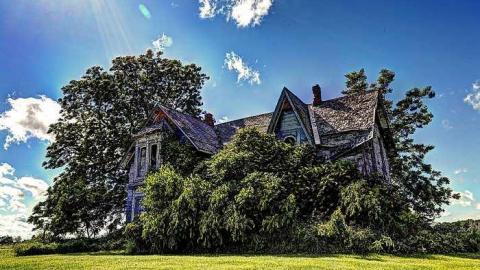 Windy day... - June28-2015 314_5_7_fused-2.jpg