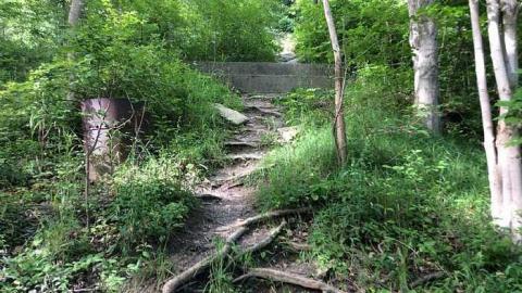 7/12/15 - The-Soup-Bridge8.jpg