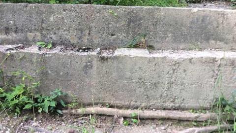 7/12/15 - The-Soup-Bridge10.jpg