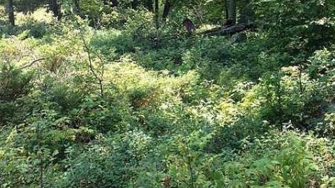 More New Found 2015 cover photo