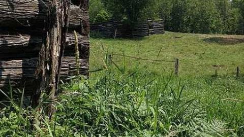 Photo from More New Found 2015