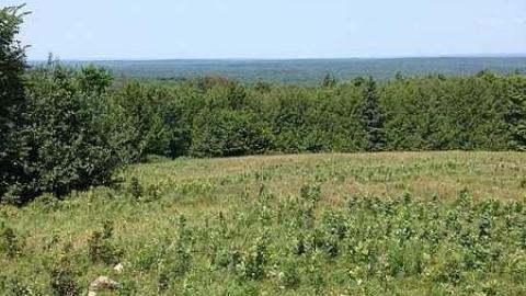 More New Found 2015 - Newfoundout-(ghost-town)2.jpg