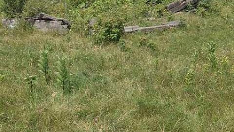 Photo from More New Found 2015