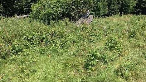 More New Found 2015 - Newfoundout-(ghost-town)4.jpg