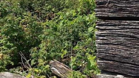 More New Found 2015 - Newfoundout-(ghost-town)5.jpg