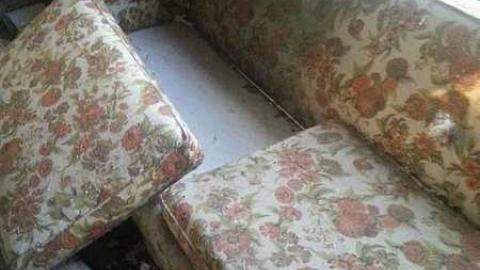 Rural Remains  - 20150523_201432.jpg